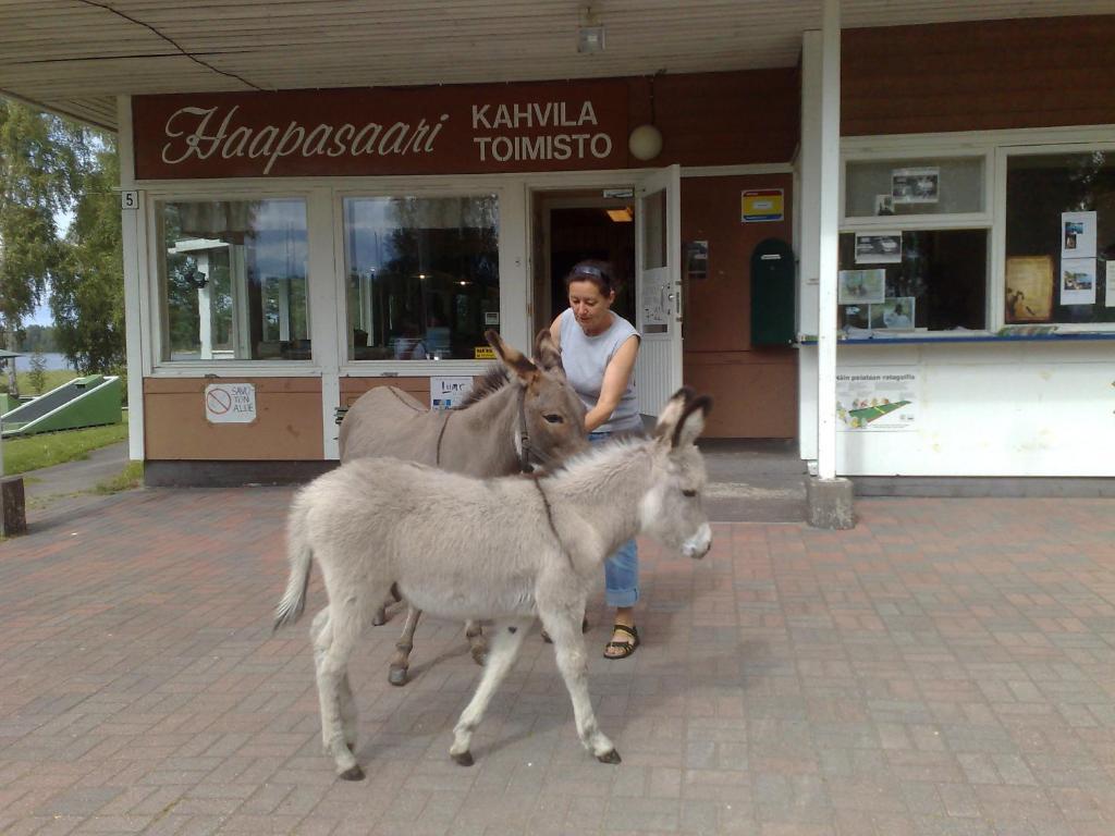 Haapasaaren Lomakyla Hotel Ruovesi Luaran gambar